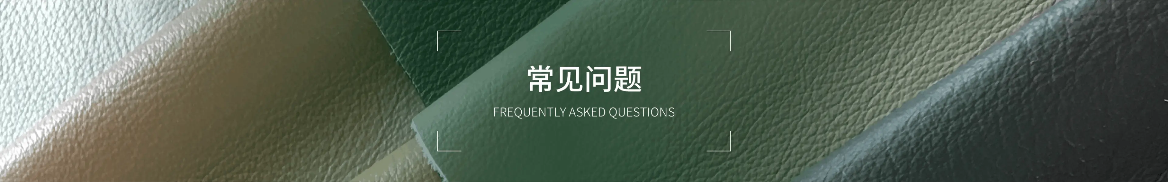常见问题