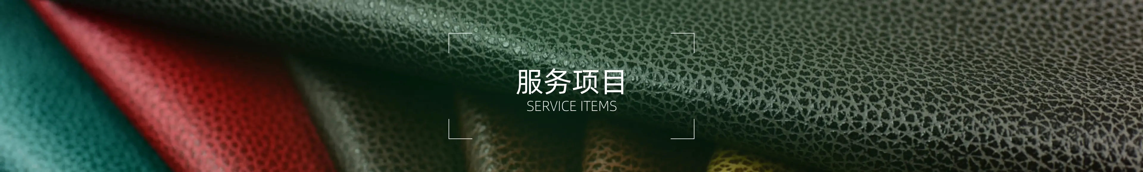 服务项目